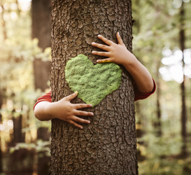 What’s the Big Deal About FSC® Certified Paper?