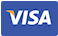 Visa Payments
