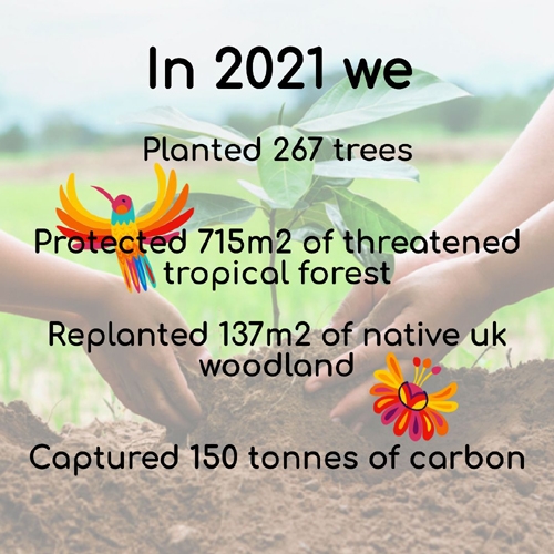 Carbon Capture Tree Planting